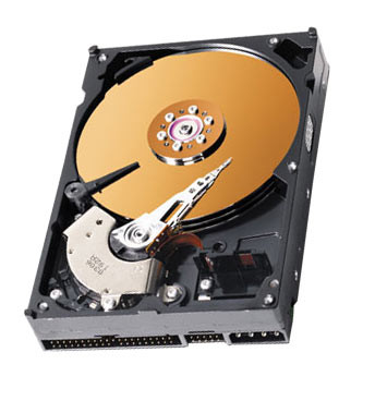 07N8450 - IBM 40GB 7200RPM ATA IDE 2MB Cache 3.5-inch Internal Hard Disk Drive