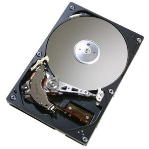 0A30755 - HGST Deskstar HDS728040PLAT20 40 GB Internal Hard Drive - IDE Ultra ATA/100 (ATA-6) - 7200 rpm - 2 MB Buffer