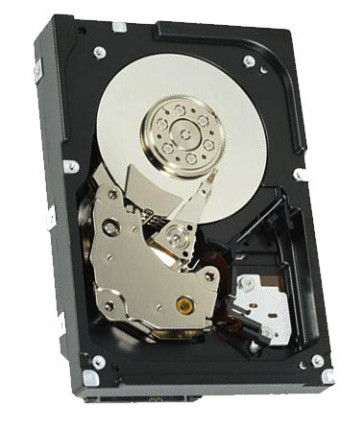 42D0548 - IBM 750GB 7200RPM 3.5-inch SAS Hot Swapable Hard Drive with Tray