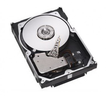 45J4867 - IBM 250GB 7200RPM SATA 3GB/s 8MB Cache 3.5-inch Hard Disk Drive