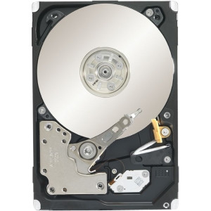 ST9250611NS - Seagate Constellation.2 ST9250611NS 250 GB 2.5 Internal Hard Drive - SATA/600 - 7200 rpm - 64 MB Buffer